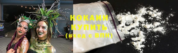 гидра Аркадак