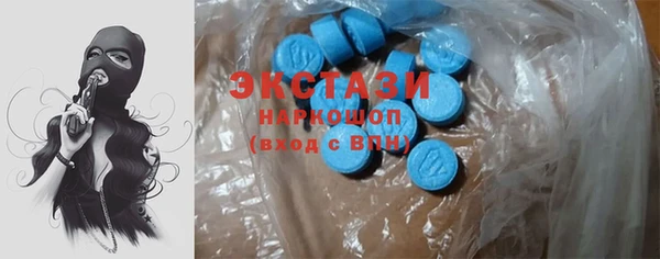 гидра Аркадак